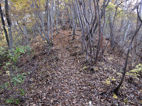 20161117hike (216)